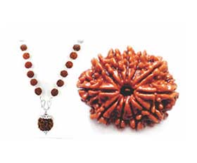 shop_product